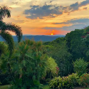 https://daintree-manor-bb.queenslandhotels.net